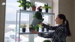 Как выбрать функциональный стеллаж для выращивания рассады?