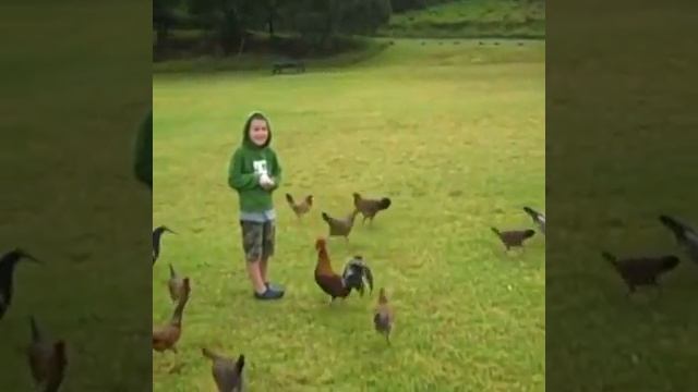 Ребёнок на кабане смотреть онлайн