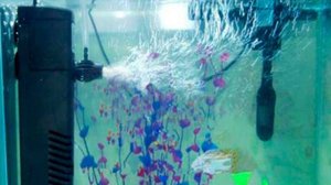 Домашний аквариум Внутренний фильтр для аквариума aquael turbo filter 50
