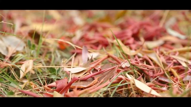 Epw Wedding Alex & Katya 2013 смотреть онлайн