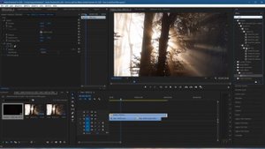 Dust Effect in Premiere Pro 2020 - Free Tutorial