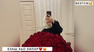 Езаш Хьо Хилар😍❤