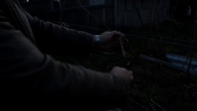 обрезка винограда смотреть онлайн