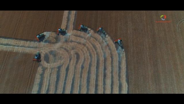 ООО КФХ "Книс А.И" смотреть онлайн