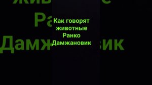 Как говорят животные Ранко Дамжановик