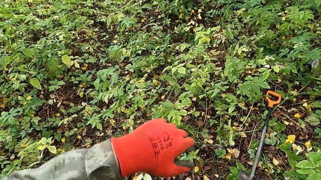 ☼РЕДЧАЙШИЕ НАХОДКИ НА КОПЕ► +КОП В ВЫСОХШЕМ БОЛОТЕ