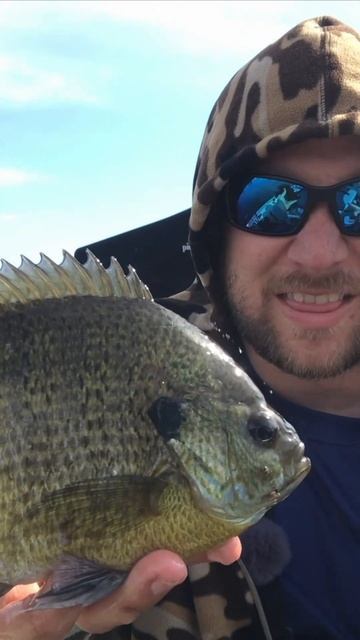 Can you say GIANT BLUEGILL!