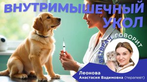 Советы ветеринара:Как правильно сделать внутримышечный укол кошке