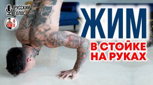 ОТЖИМАНИЯ В СТОЙКЕ | пошаговое экспресс-обучение