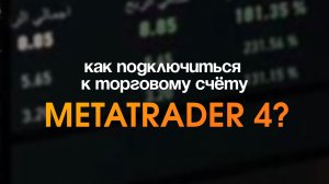 Как подключиться к торговому счёту Metatrader 4?