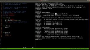 использование Valgrind и GDB для устранения ошибки SIGSEGV