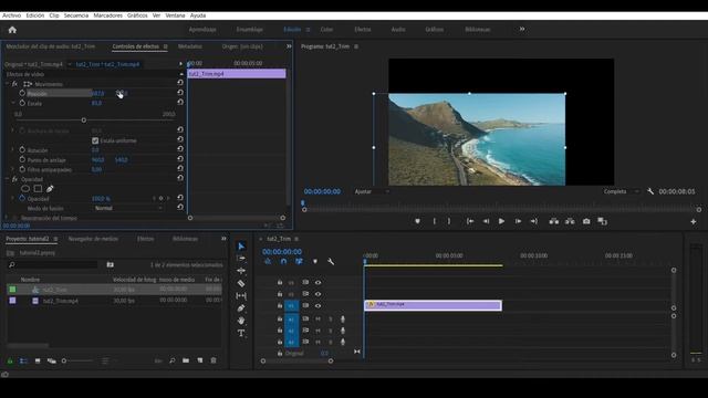 Cómo MOVER, ESCALAR, RECORTAR y ROTAR videos en PREMIERE смотреть онлайн