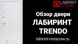 Входная дверь Лабиринт TRENDO | Трендо