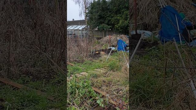 мой огород в Англии и январская свекла смотреть онлайн