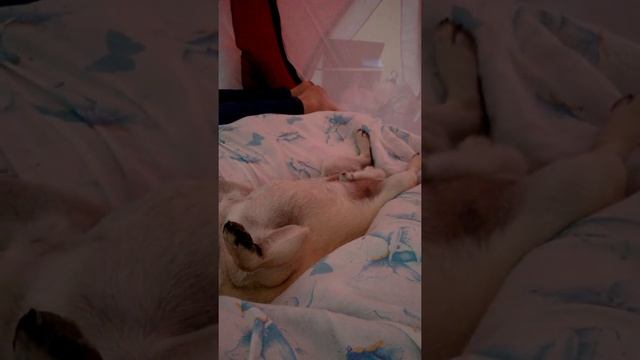 громче всех смотреть онлайн