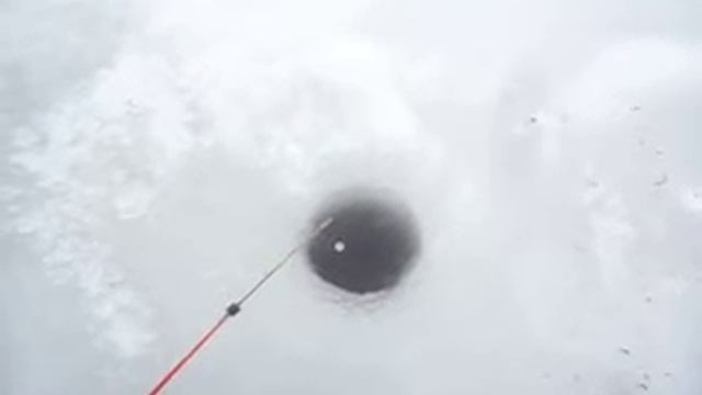 SAM 0006 Рыбалка  с Рыжим другом . смотреть онлайн