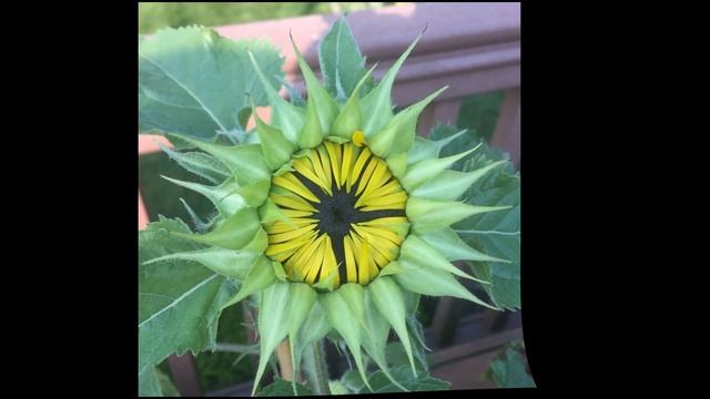 Jan 7-2023 Outlaw Family1 смотреть онлайн