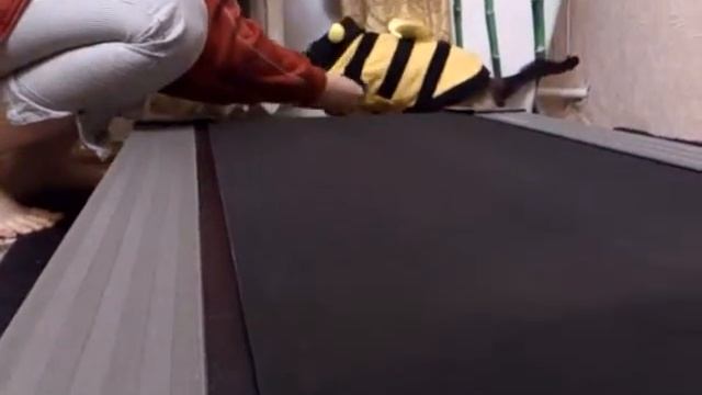 Котопчела на беговой дорожке смотреть онлайн