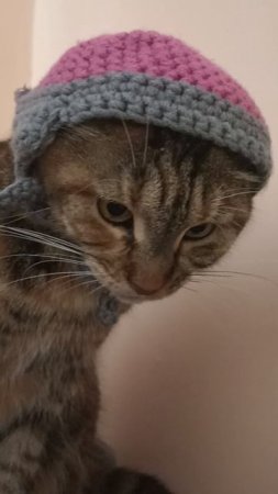 КАНДИБОБЕР