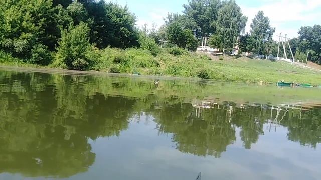 Вышел из интернета повидал мир - другим рассказал! (выпиливаюсь из матрицы) смотреть онлайн