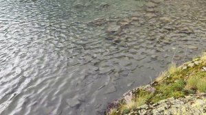 Абхазия 2024 Сентябрь
поход на Озеро Мзы