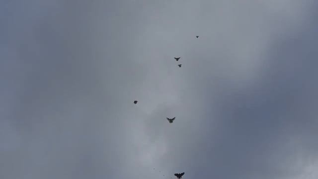 А теперь полетели смотреть онлайн