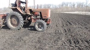 Конная сеялка с дисковыми сошниками и трактор т 25 сеят ячьмень.