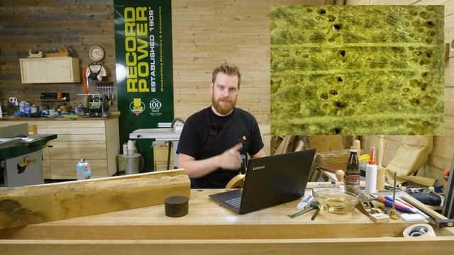 EICHE - Holzatlas für Möbelbau und Konstruktion - Wissen für Handwerker смотреть онлайн