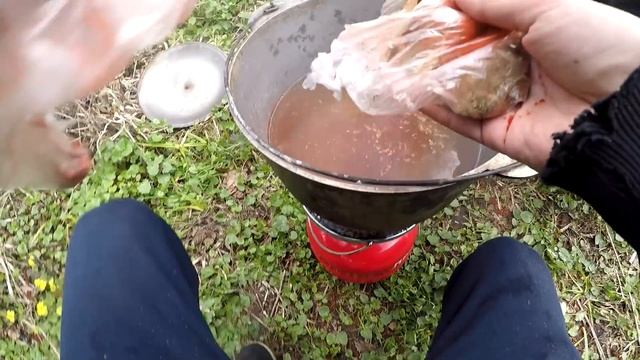 ЛЕСНАЯ РЕКА КИШИТ КРУПНЫМИ РАКАМИ! ПОЙМАЛИ ВЕДРО РАКОВ!
