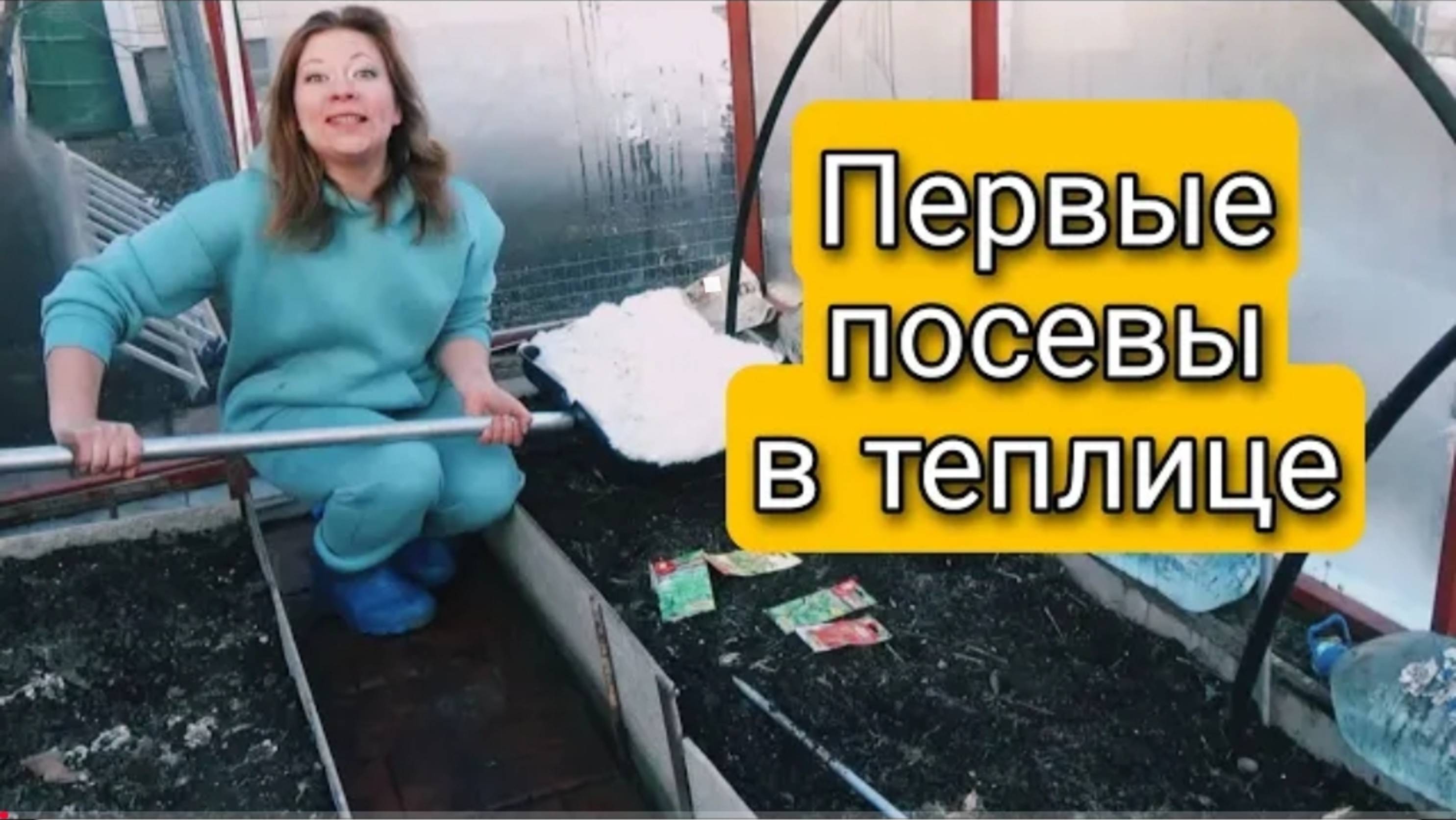ПЕРВЫЕ ПОСЕВЫ В ТЕПЛИЦЕ