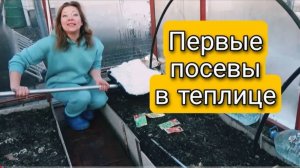 ПЕРВЫЕ ПОСЕВЫ В ТЕПЛИЦЕ