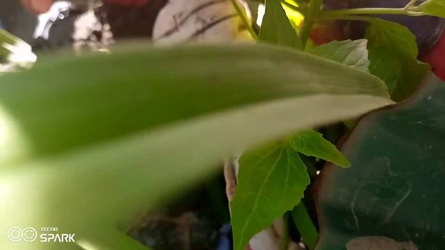 4 серия приключения лошадей до моря смотреть онлайн