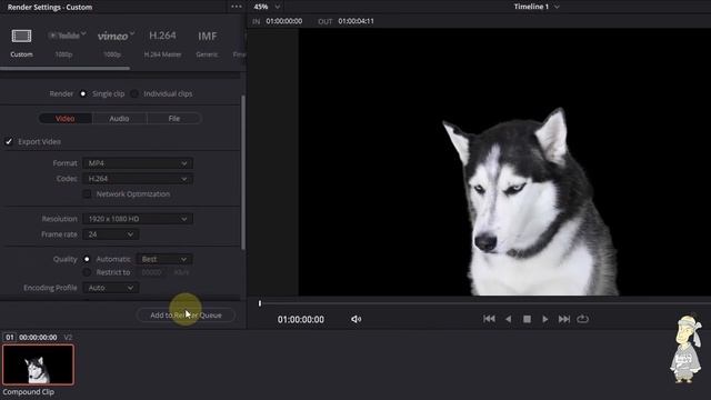 다빈치리졸브 초간단 움짤 만들기 및 구독움짤 배포(ft.MOV파일 만들기) / Davinci Resolve Free download mov