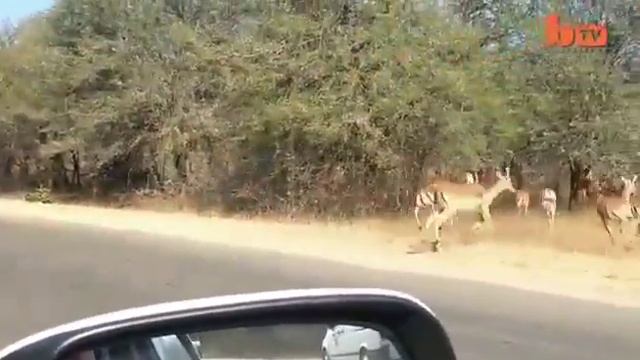 Правда)) смотреть онлайн