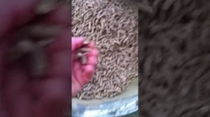 Гранулятор ZLSP200B, 7.5КВТ.