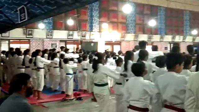 'National level Master cup' in Karate(3) смотреть онлайн
