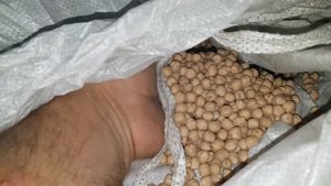 Очистка нута 2019