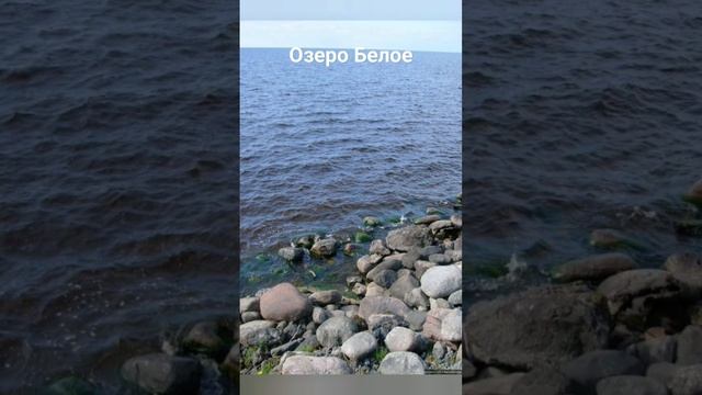 #андрейординарцев #озерассср#природародногокрая  Озеро Белое