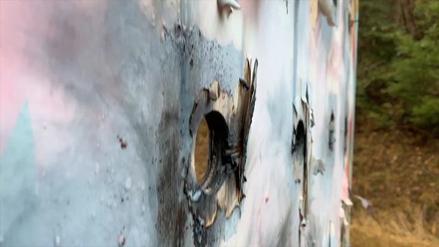 Day 23 of the 25 Days of Christmas Sale | Alligator Performance смотреть онлайн