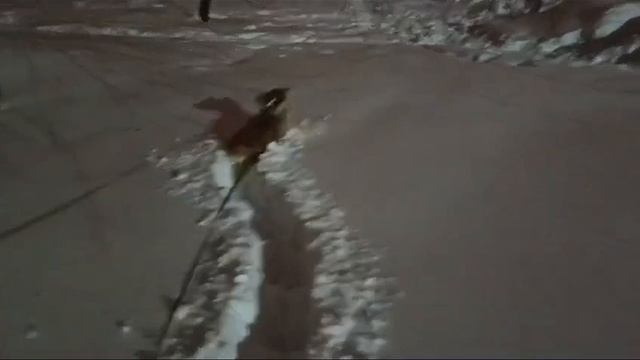 Снегоход