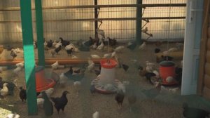 Подворье Покровского монастыря в Марково посетила делегация Новороссийской епархии.