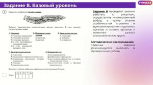 ВПР Биология 8 класс 2025