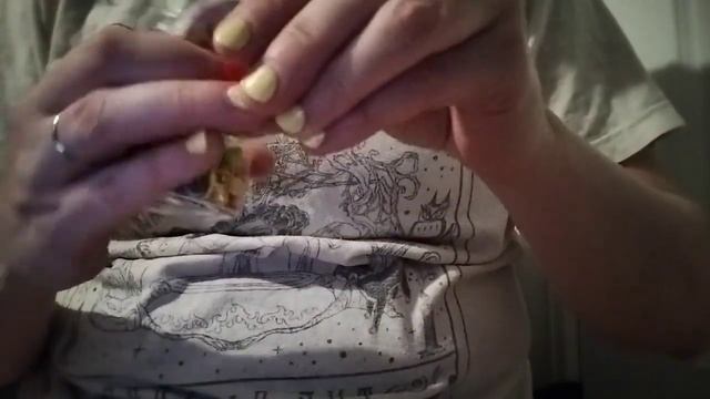 ASMR dollar tree haul. No talking