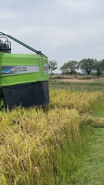 Best beetle смотреть онлайн