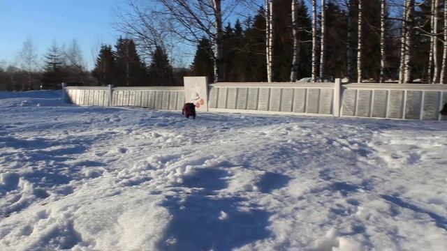 222 157 смотреть онлайн