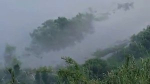 Иван П. Федотов - Плотник, сын плотника (часть 2)