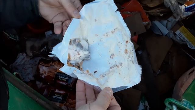DUMPSTER DIVING: GROCERY SHOPPING FOR FREE FOOD OUT BACK