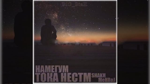 SHAKH x MEHROJ - NAMEGUM TOQA NESTM/ШАХ х МЕХРОЧ - НАМЕГУМ ТОКА НЕСТМ 2023