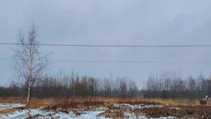 Как проходят наши деревенские дни.