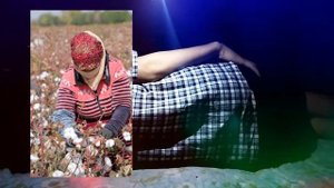 Туш табири - Тушда Йигим терим куриш